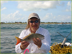 Snapper